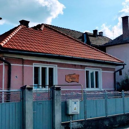 Hotel Sepsi-Szek Sfântu-Gheorghe Exterior foto